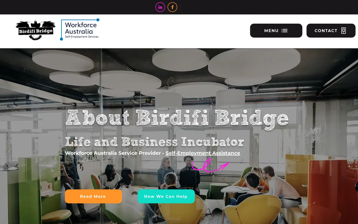 Homepage of Birdifi Bridge's website