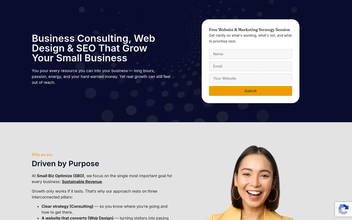 Homepage of Small Biz Optimize's website